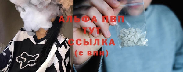 ешки Новодвинск