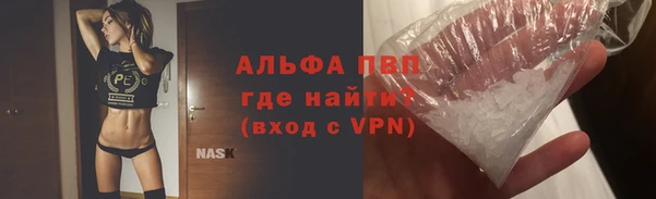 ешки Новодвинск