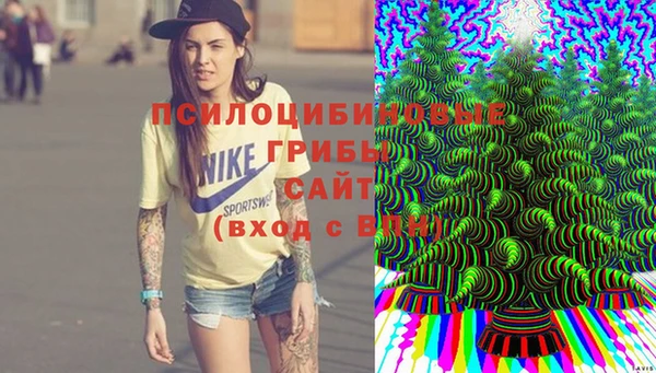 гидропоника Новокубанск