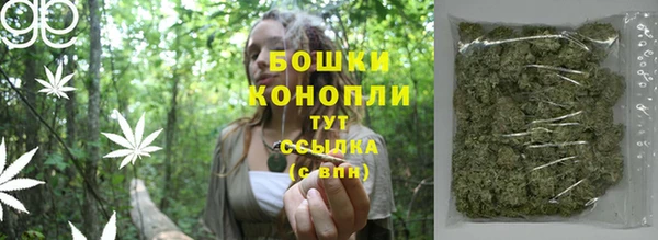 PSILOCYBIN Нягань