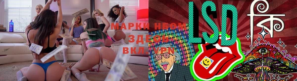 ешки Новодвинск