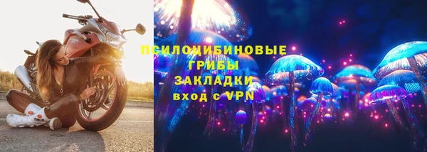 гидропоника Новокубанск