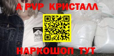 spice Кингисепп