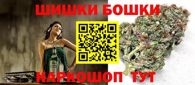 spice Кингисепп