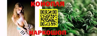 spice Кингисепп