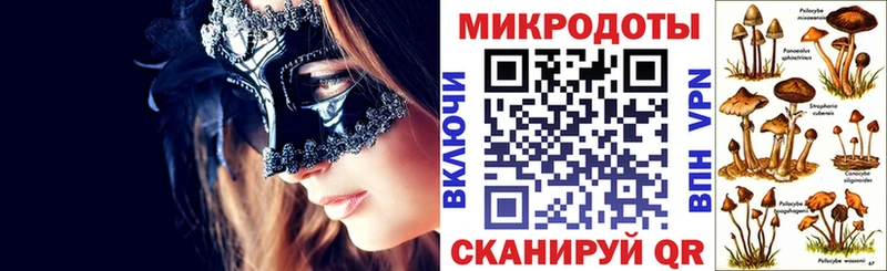 Псилоцибиновые грибы мицелий  где найти   Новосибирск 