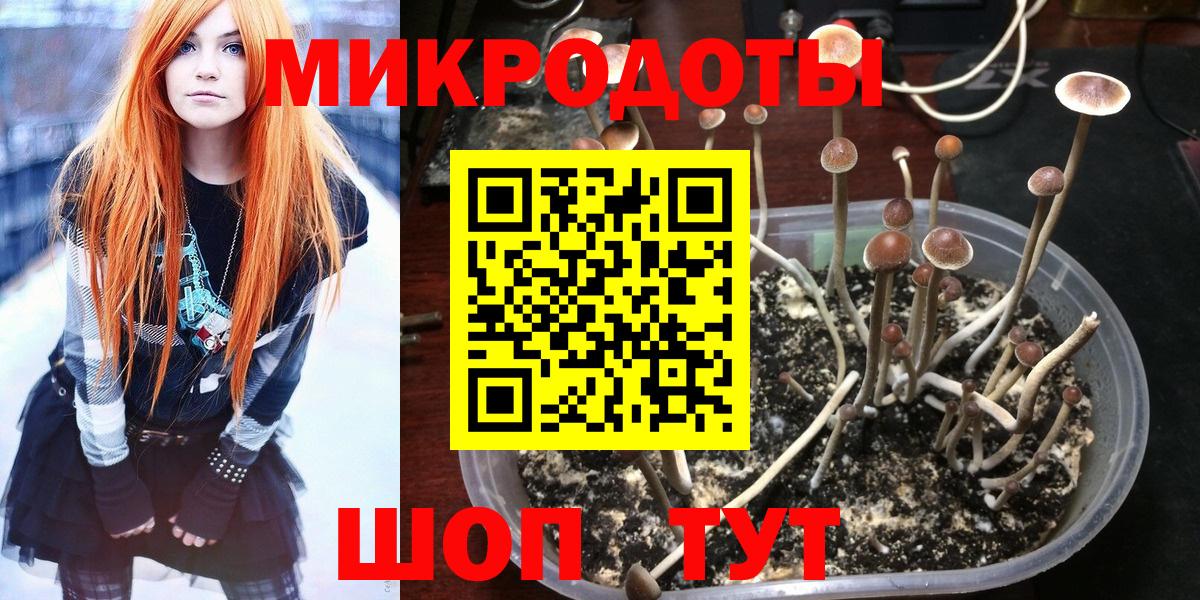 Псилоцибиновые грибы ЛСД  Новосибирск  Галлюциногенные грибы MAGIC MUSHROOMS 