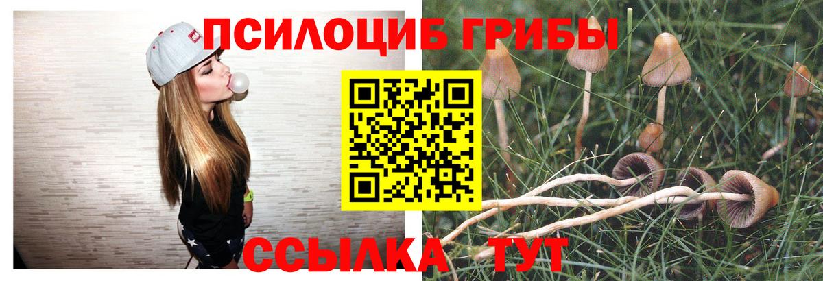 Галлюциногенные грибы GOLDEN TEACHER Новосибирск