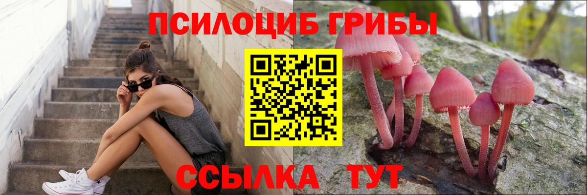 Новосибирск  Галлюциногенные грибы мухоморы  Вход с VPN 