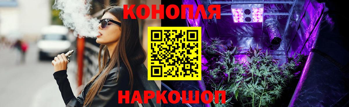 Шишки марихуана индика  Вход с VPN  Бошки марихуана Amnesia  Новосибирск  Бошки марихуана SATIVA & INDICA  Бошки Шишки планчик 