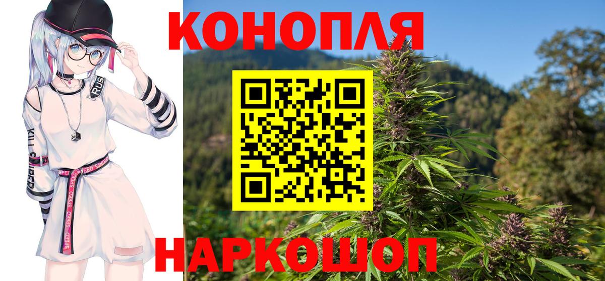 Конопля LSD WEED  Новосибирск  Каннабис SATIVA & INDICA 
